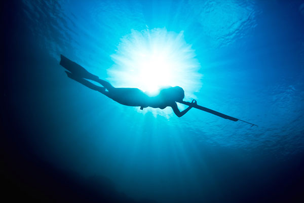 Spearfishing / Dive Charter